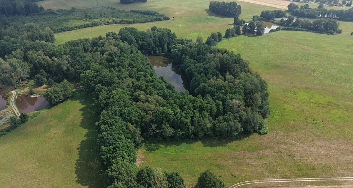 Prodej lesa 360000 m² – fotografie 2