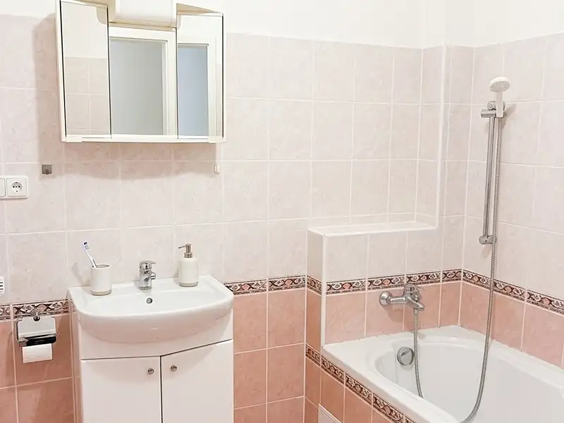 Prodej bytu 2+kk 55 m², Plzeň – náhled fotky 3