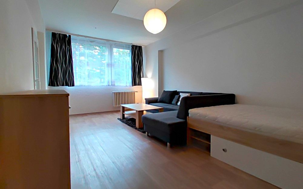 Pronájem bytu 1+1 42 m²