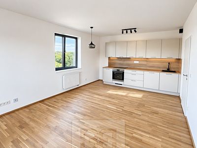 Pronájem bytu 2+kk 55 m²