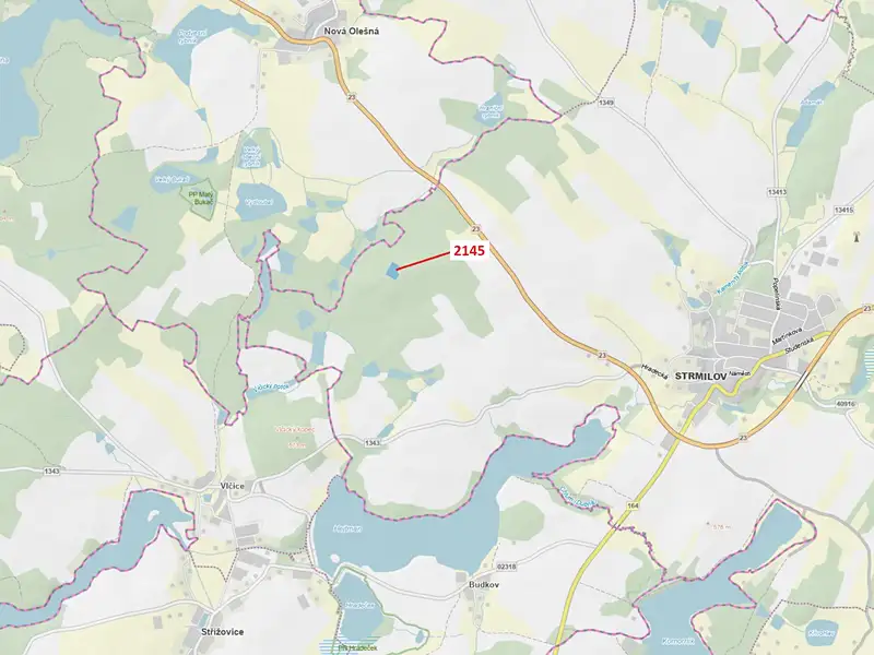 Dražba lesa 5413 m², Strmilov – náhled fotky 1