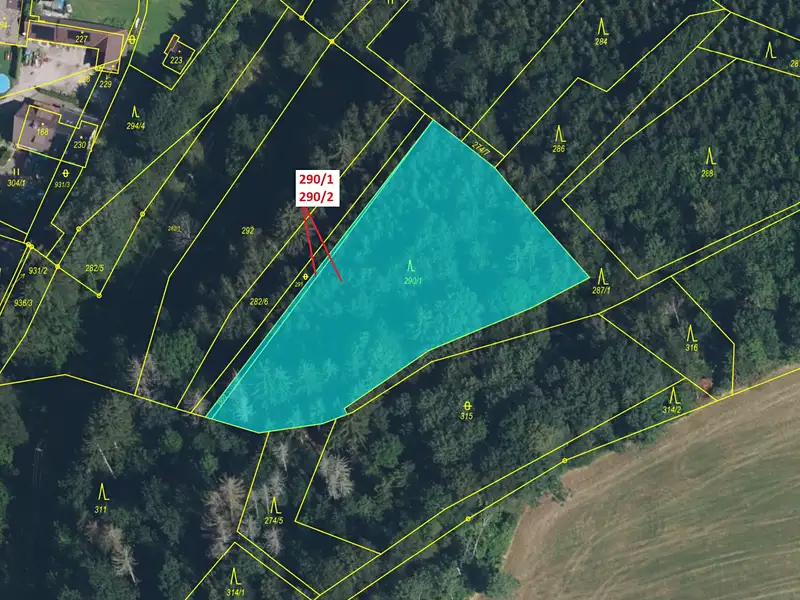 Dražba lesa 3359 m², Rudník – náhled fotky 2