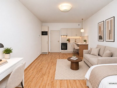 Квартира 1+kk на продаж, 33 м² (3 з 11)