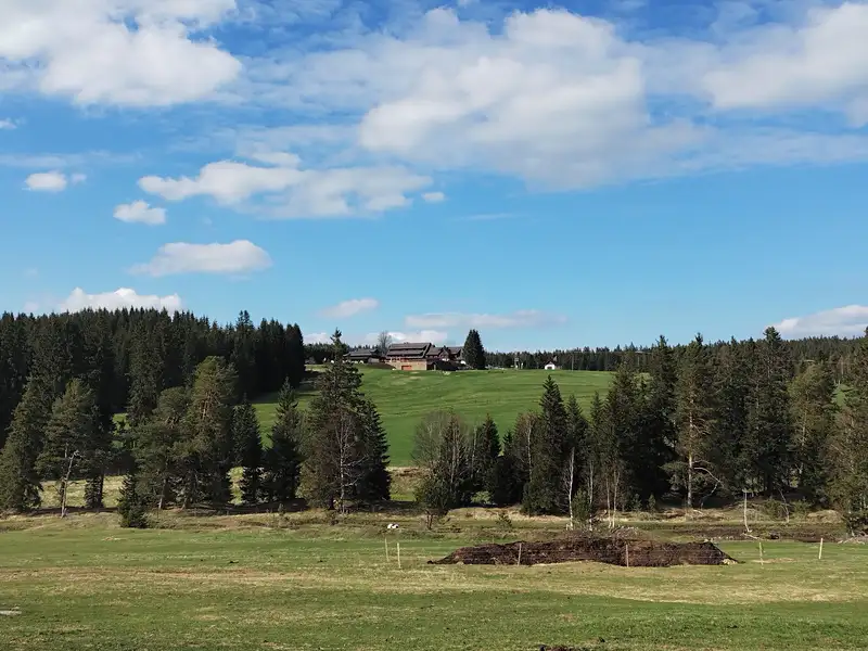 Prodej pozemku 8240 m², Horská Kvilda – náhled fotky 3