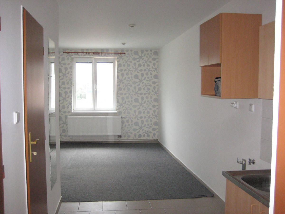 Pronájem bytu 1+kk 35 m²