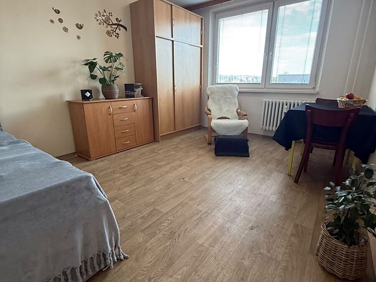 Pronájem bytu 1+1, 32 m² (2 z 11)