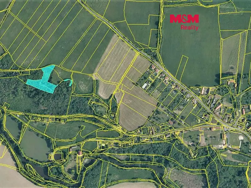 Prodej lesa 5322 m², Ždírec – náhled fotky 1