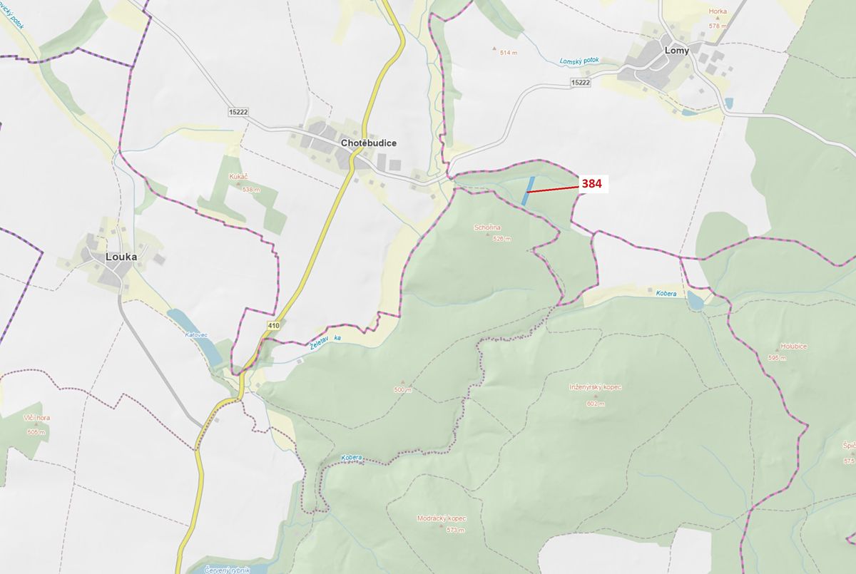 Dražba lesa 4302 m², Chotěbudice – fotka 1 z 3