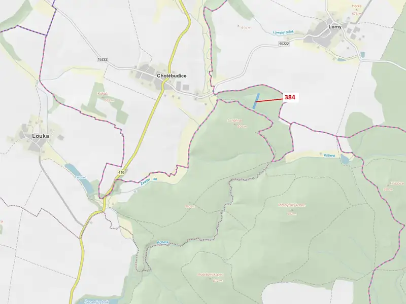 Dražba lesa 4302 m², Chotěbudice – náhled fotky 1