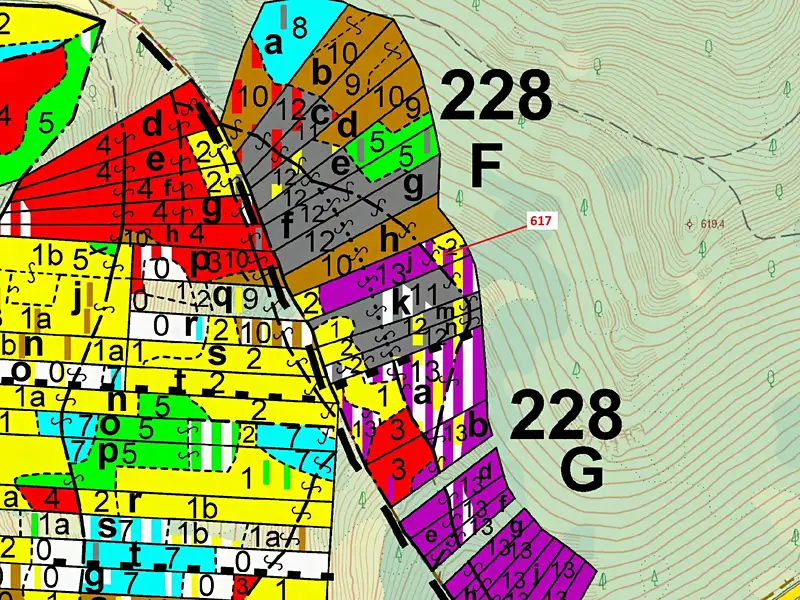 Dražba lesa 4280 m², Rabí – náhled fotky 3