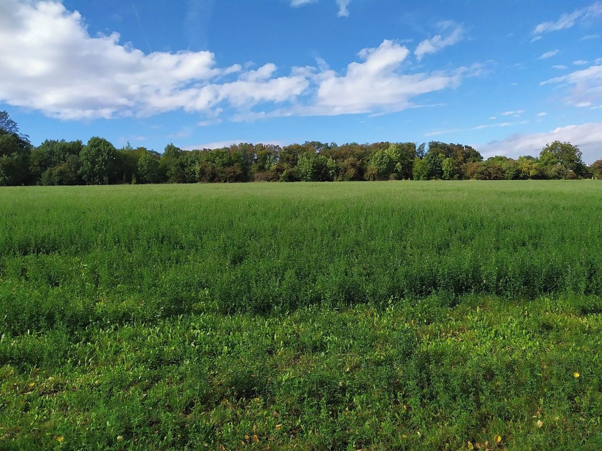 Prodej stavebního pozemku 1800 m² – fotografie 3