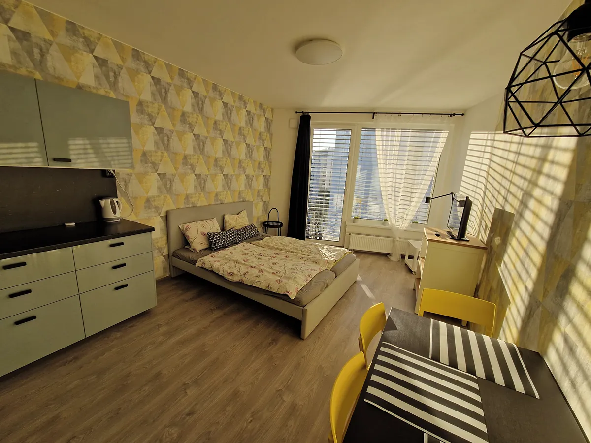 Pronájem bytu 1+kk 29 m²