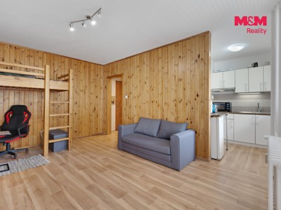 Prodej bytu 1+kk, 27 m² (2 z 24)