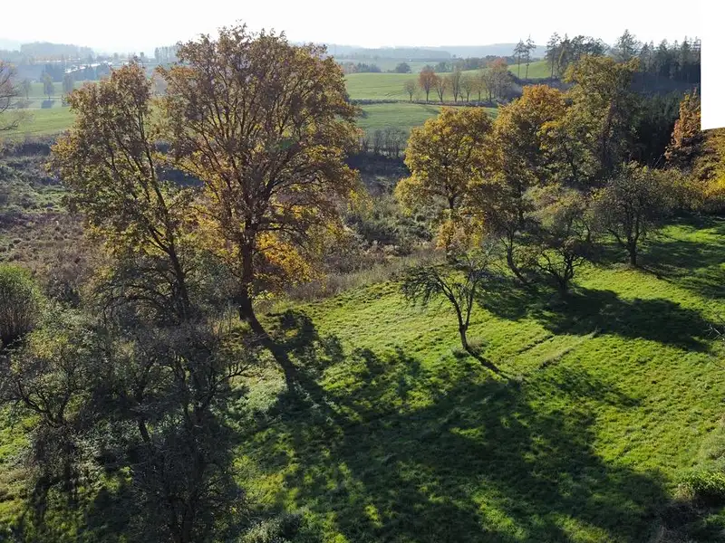 Prodej stavebního pozemku 1442 m², Struhařov – náhled fotky 3