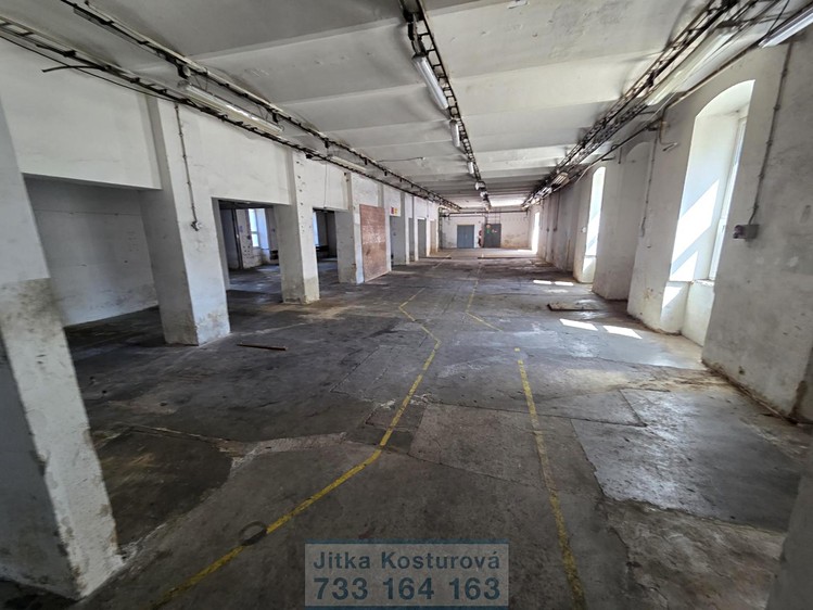 Gewerbefläche zur Miete, 533 m² (2 von 12)