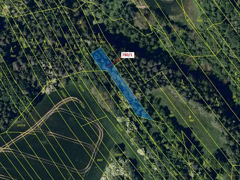 Dražba lesa 659 m², Jalubí – náhled fotky 2