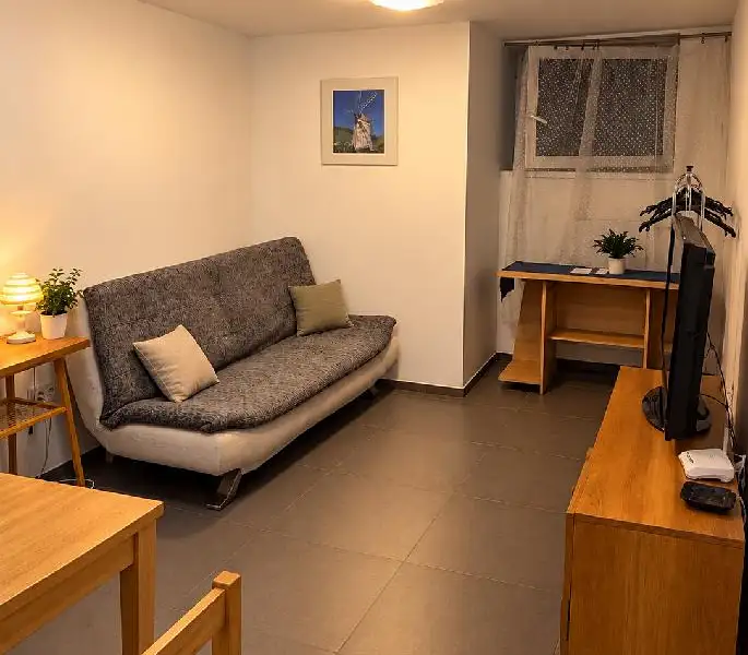 Prodej bytu 1+kk 20 m², Brno – náhled fotky 1
