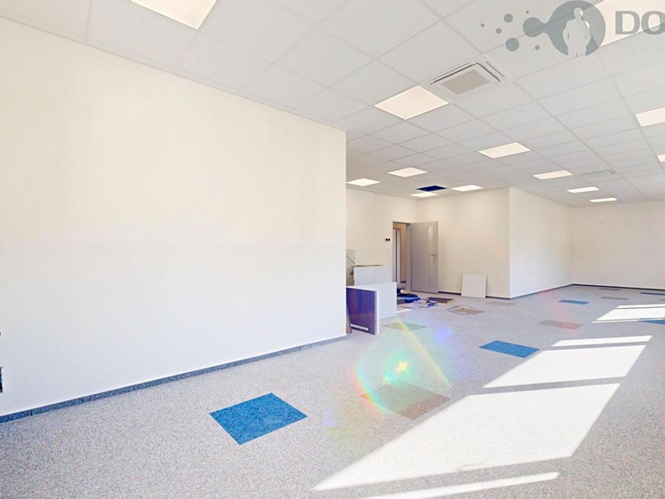 Gewerbefläche zur Miete, 265 m² (3 von 21)
