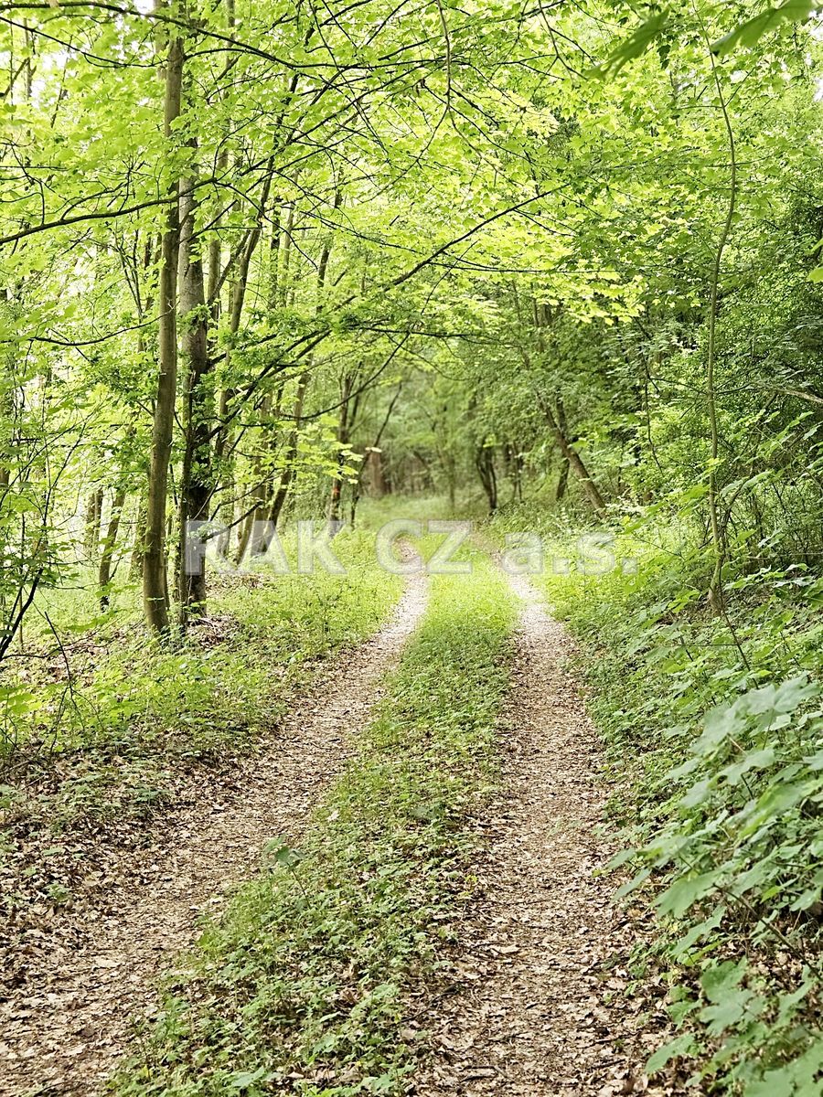 Prodej pozemku 47568 m², Černíky – fotka 1 z 3
