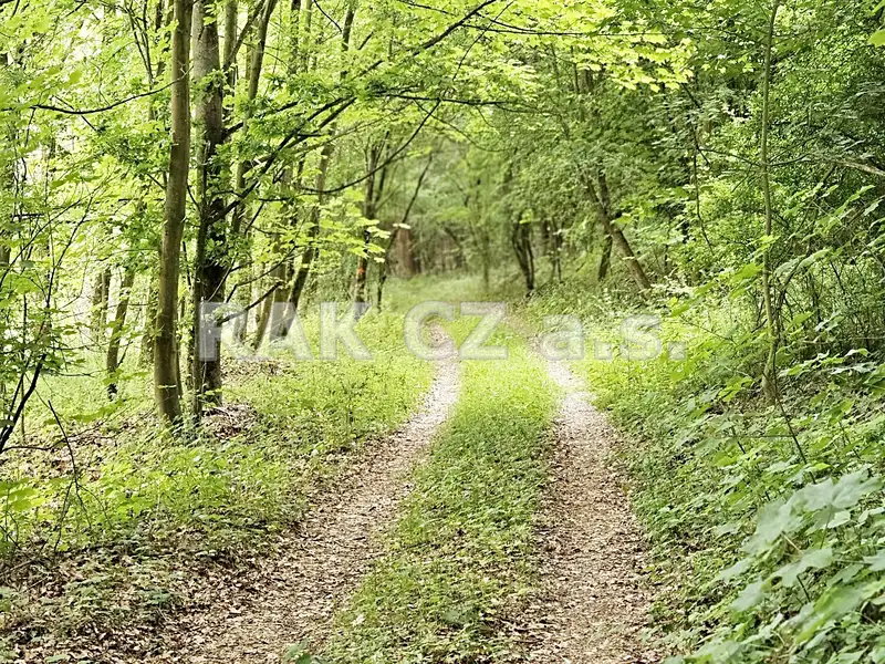Prodej pozemku 47568 m², Černíky – náhled fotky 1