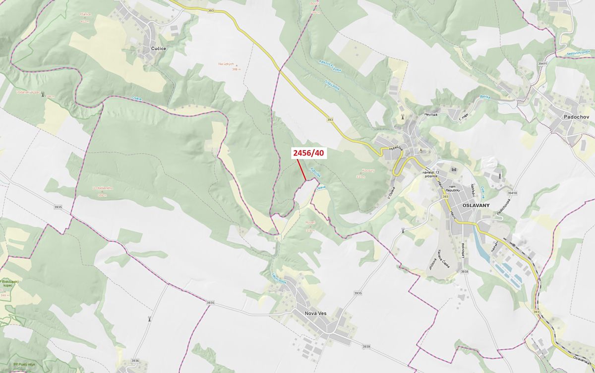 Dražba lesa 80 m², Oslavany – fotka 1 z 3