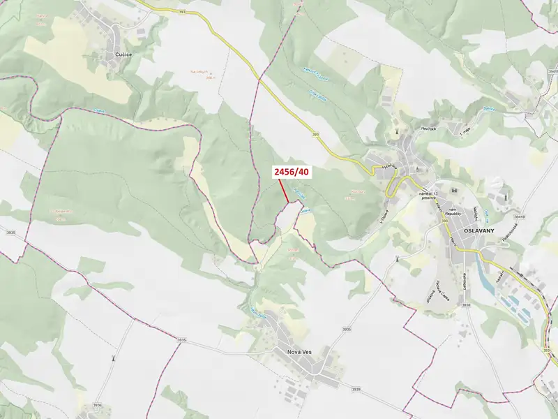 Dražba lesa 80 m², Oslavany – náhled fotky 1