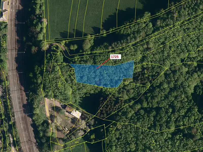 Dražba lesa 2248 m², Valašská Polanka – náhled fotky 2