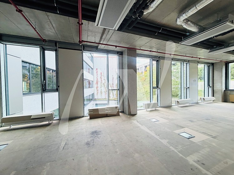 Gewerbefläche zur Miete, 350 m² (9 von 12)