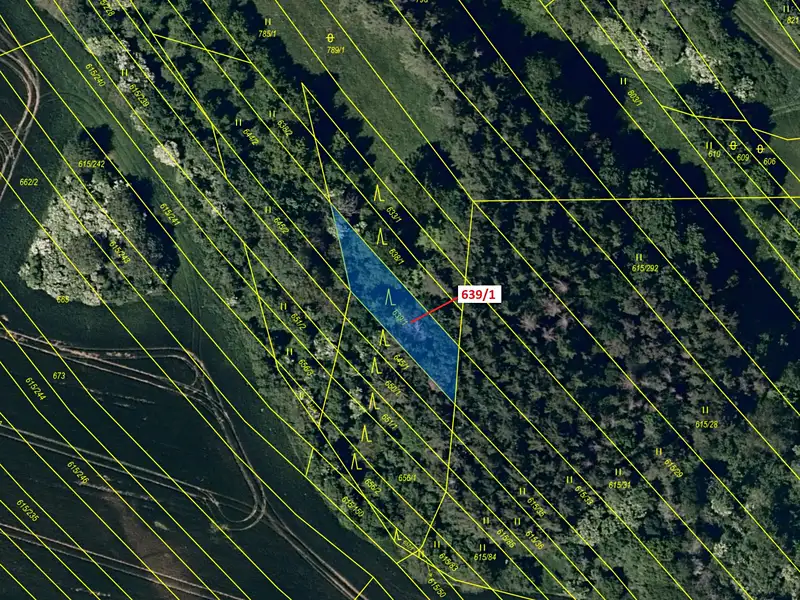 Dražba lesa 453 m², Jalubí – náhled fotky 2