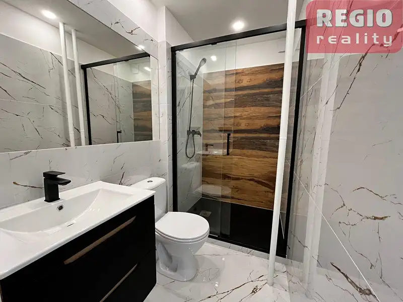 Pronájem bytu 1+kk 23 m², Frýdek-Místek – náhled fotky 3