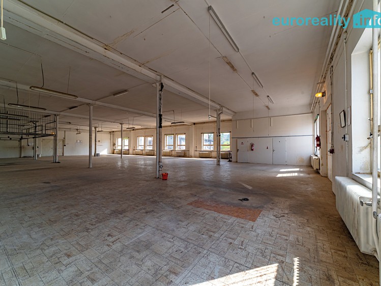 Комерційне приміщення в оренду, 607 м² (5 з 7)