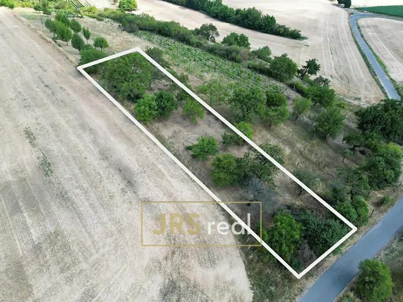 Prodej sadu, vinice 1046 m², Kyjov – náhled fotky 2