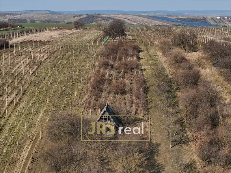 Prodej sadu, vinice 4065 m², Brumovice – náhled fotky 3