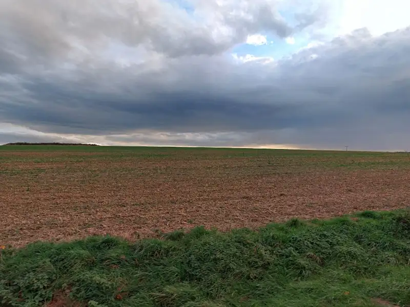 Prodej sadu, vinice 18323 m², Vitice – náhled fotky 3