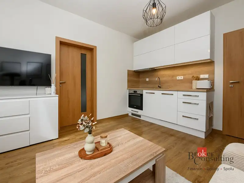 Pronájem bytu 1+1 36 m², Plzeň – náhled fotky 1