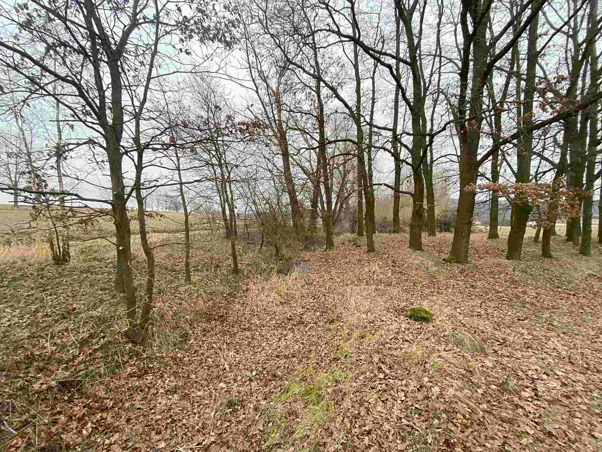 Prodej pozemku 2121 m² – fotografie 3
