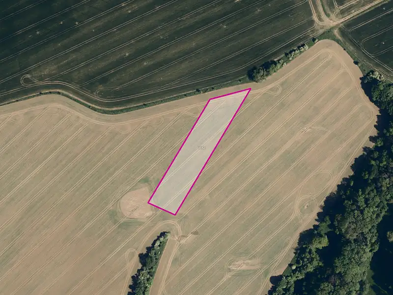 Prodej pole 6270 m², Kostelany – náhled fotky 1