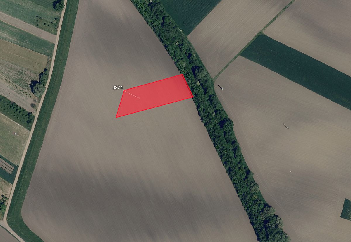 Prodej pole 7125 m², Moravský Písek – fotka 1 z 3