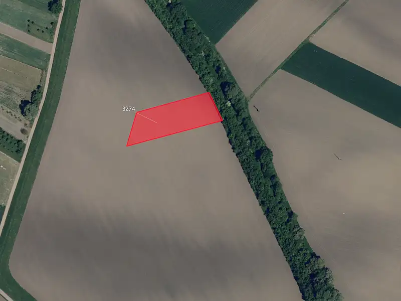 Prodej pole 7125 m², Moravský Písek – náhled fotky 1
