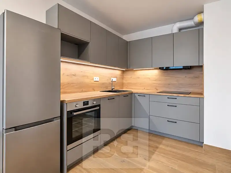 Pronájem bytu 2+kk 55 m², České Budějovice – náhled fotky 2