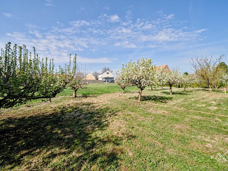 Haus zum Kauf, 153 m² (14 von 16)