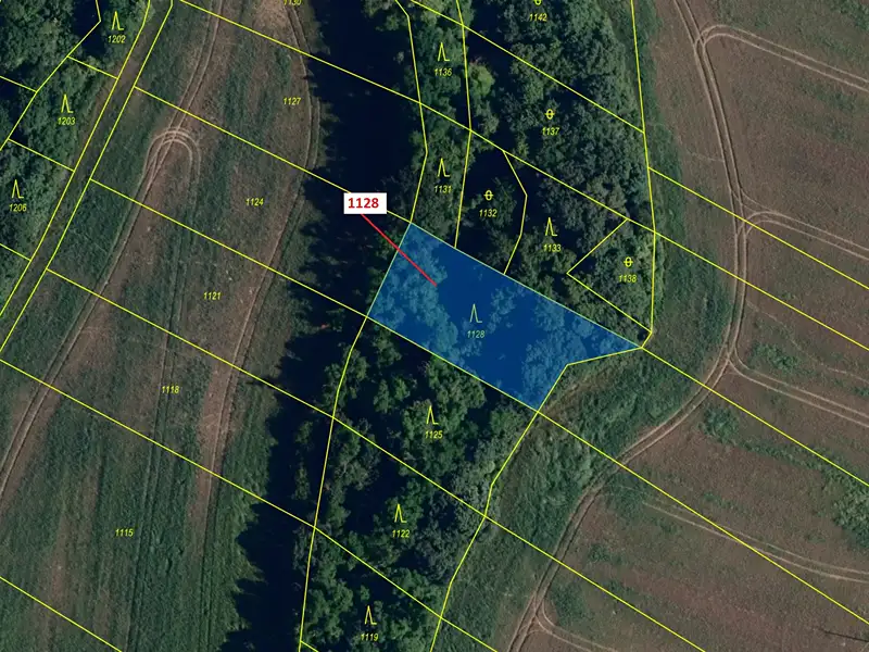 Dražba lesa 1191 m², Babice u Rosic – náhled fotky 2