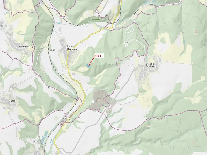 Dražba lesa 4308 m², Lhota Rapotina – náhled fotky 1