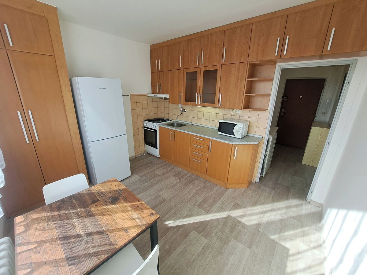 Pronájem bytu 1+1 40 m²