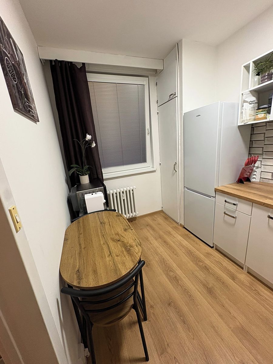 Pronájem bytu 1+1 32 m² – fotografie 5