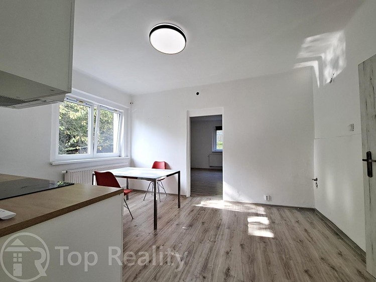 Pronájem bytu 2+1, 91 m² (3 z 16)