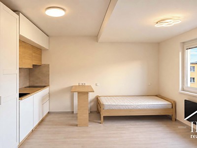 Wohnung 1+kk zur Miete, 21 m² (2 von 9)