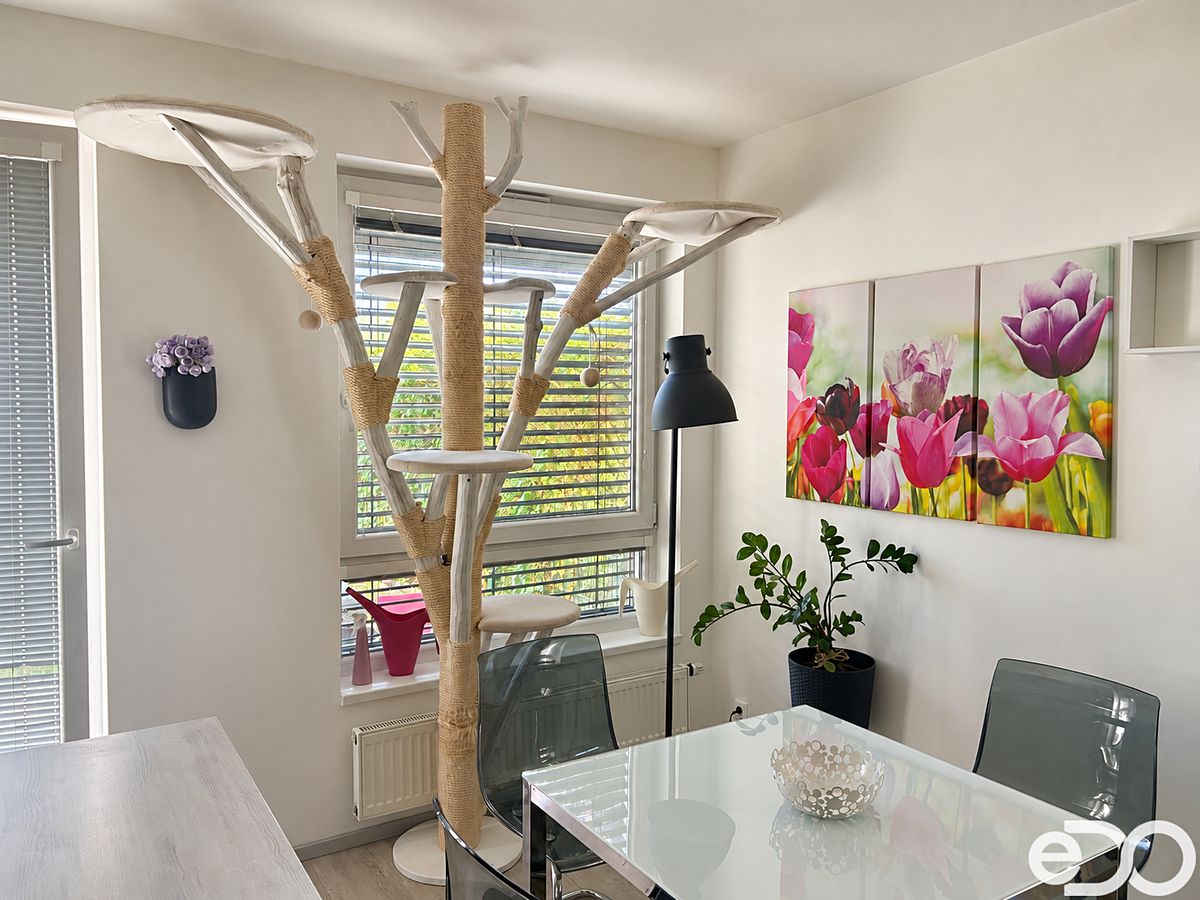 Pronájem bytu 2+kk 54 m² – fotografie 2