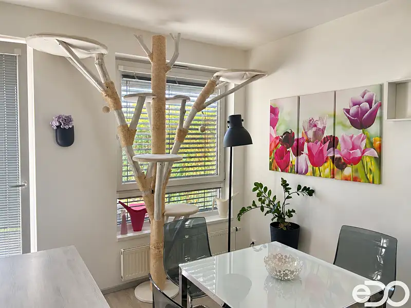 Pronájem bytu 2+kk 54 m², Praha – náhled fotky 2
