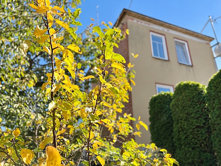 Prodej domu, 160 m² (56 z 56)